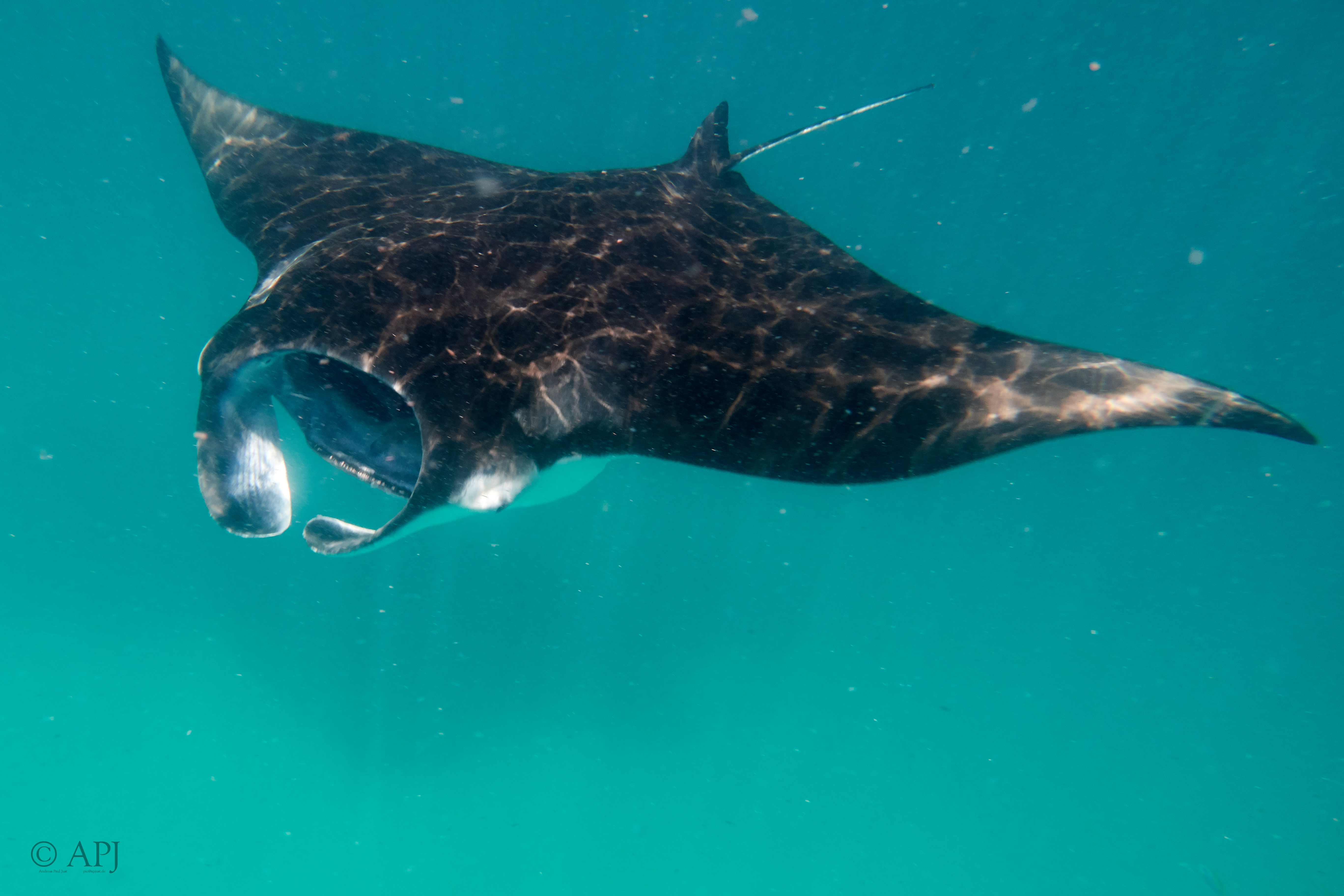 001658 16 08 17  Canon PowerShot G7 X Mark II   Malediven2017